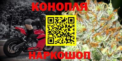 прущие грибы Кинель
