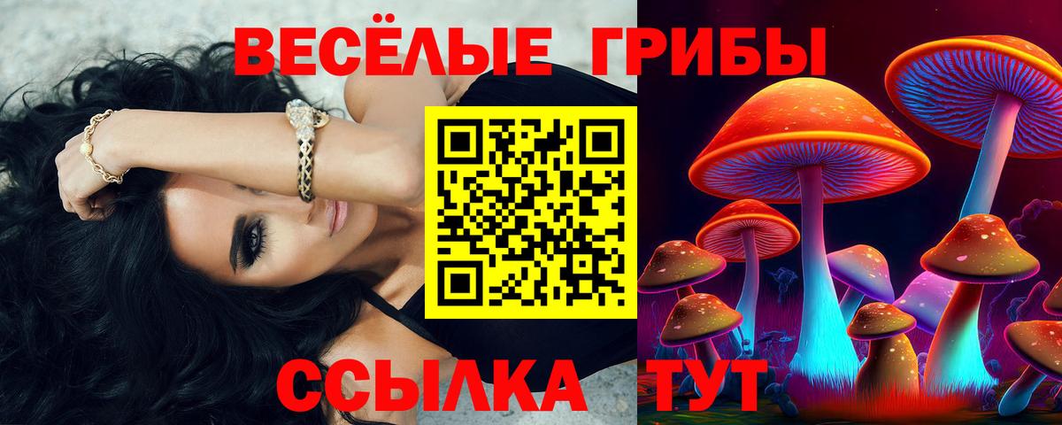 Галлюциногенные грибы Psilocybine cubensis Кузнецк
