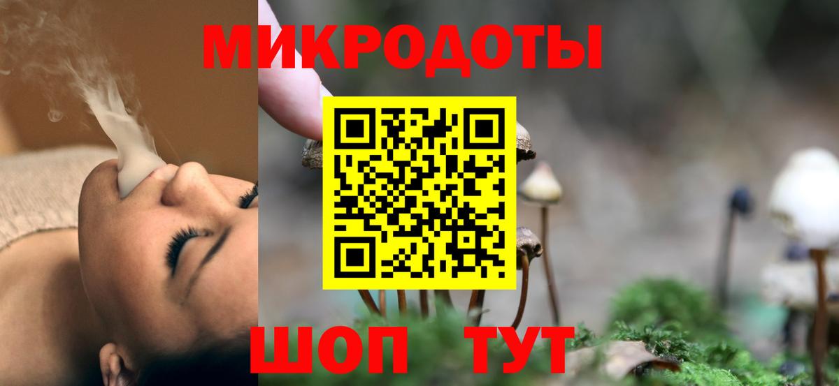 Кузнецк  Псилоцибиновые грибы MAGIC MUSHROOMS  Псилоцибиновые грибы MAGIC MUSHROOMS  Вход с VPN 